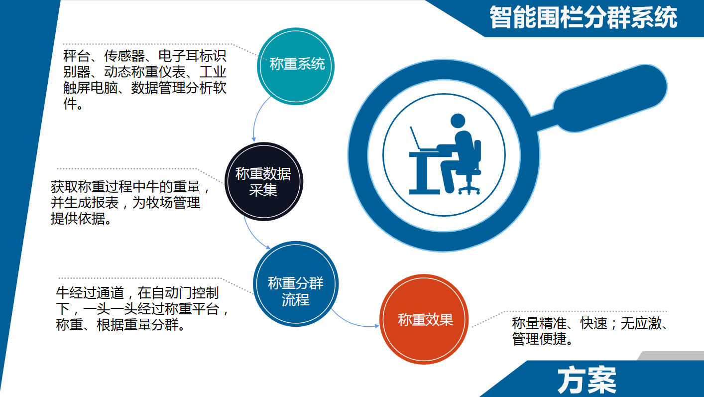 牛智能(néng)稱重分群系統